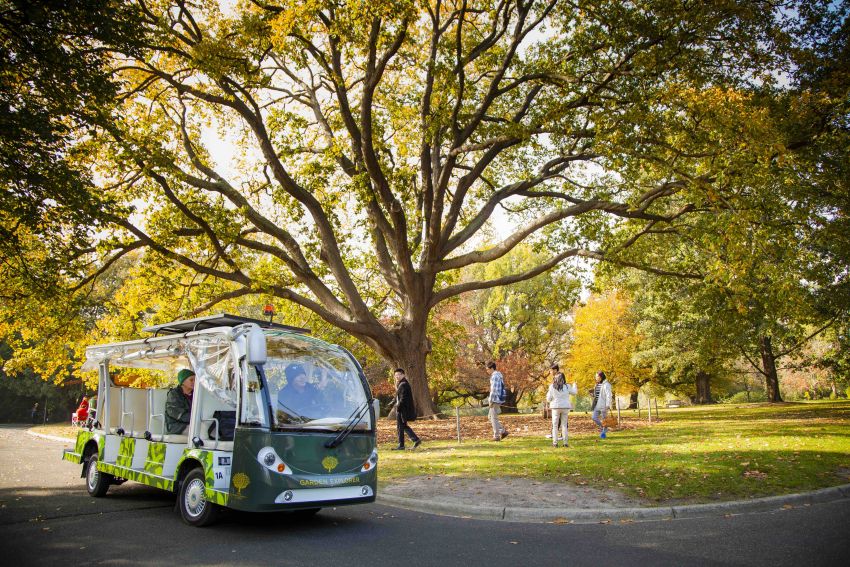 Transporter Bus, Royal Botanic Gardens, Melbourne